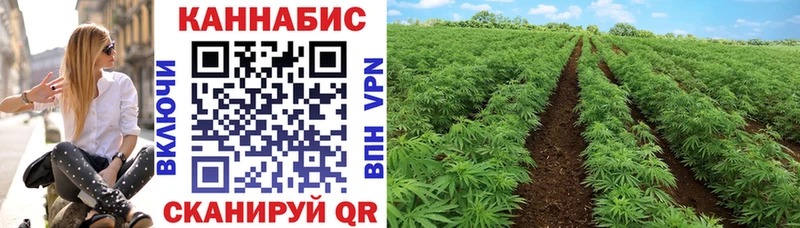 Шишки марихуана Bruce Banner  Тетюши 